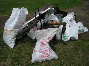 PAN Clean Up Australia Day