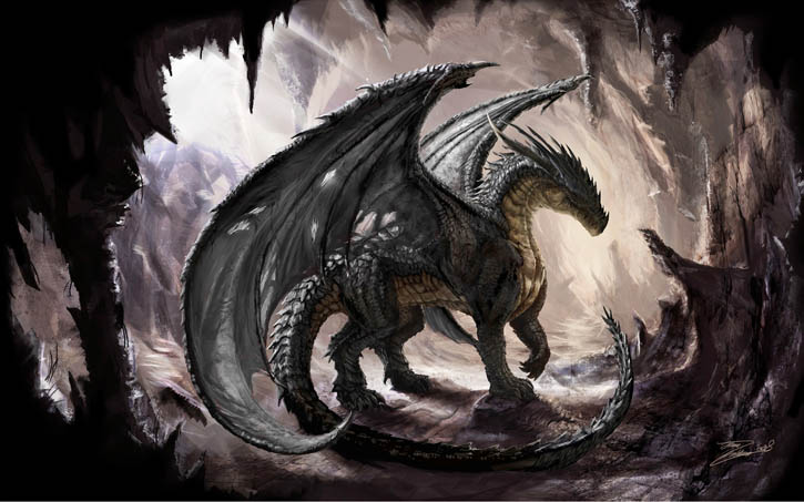 Dragon Attunement Workshop